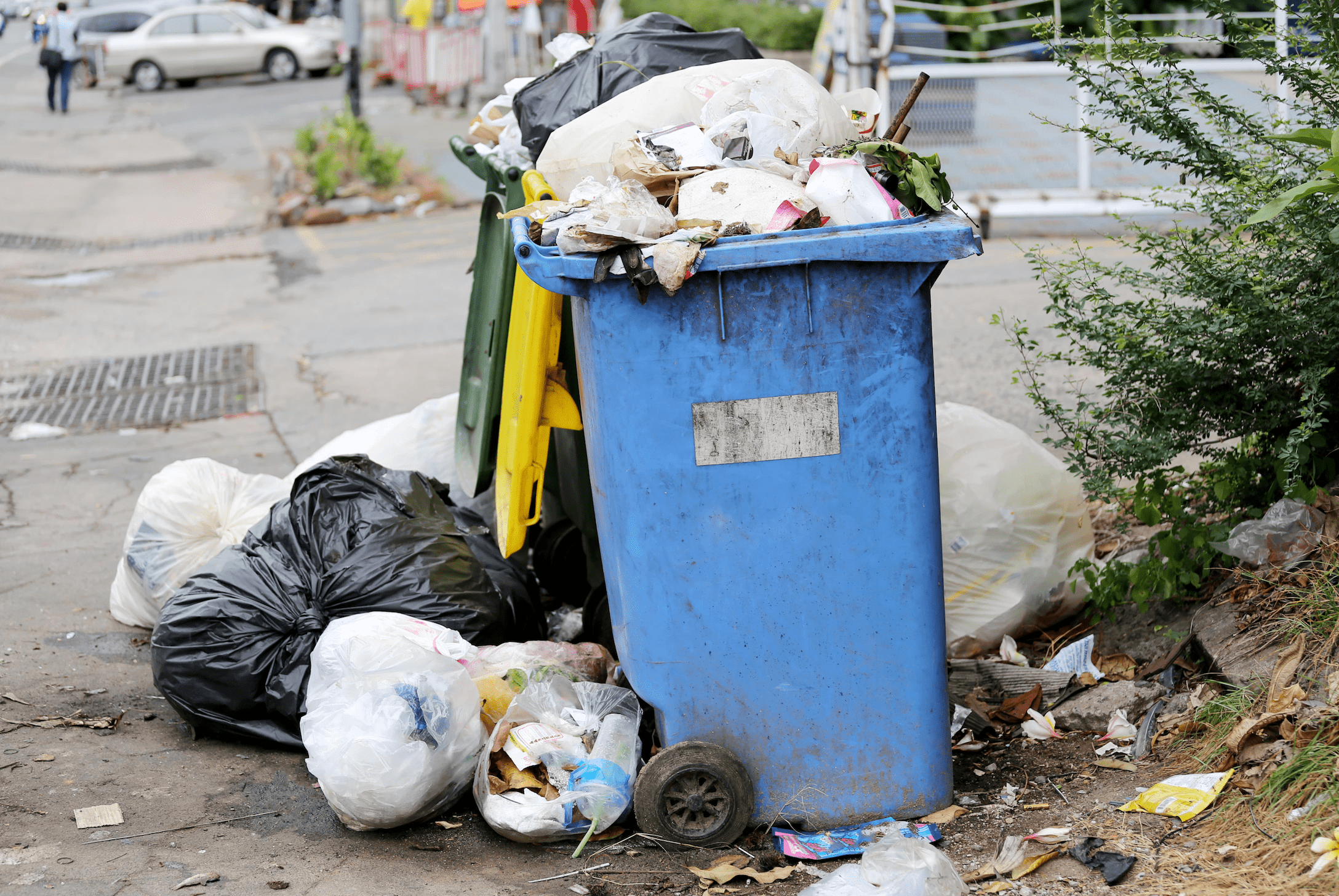 trusted waste removal professionals